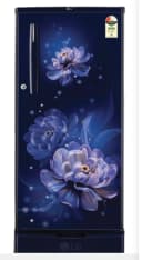 LG 185 L 2 Star Direct-Cool Single Door Refrigerator (GLD1925XORB, Fast Ice Making) - Image 4